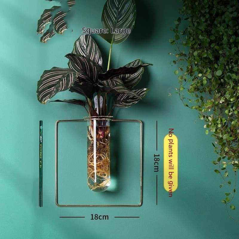 Vase Decoration Wall-mounted Hydroponic Flowerpot Hanging Wall Hanging