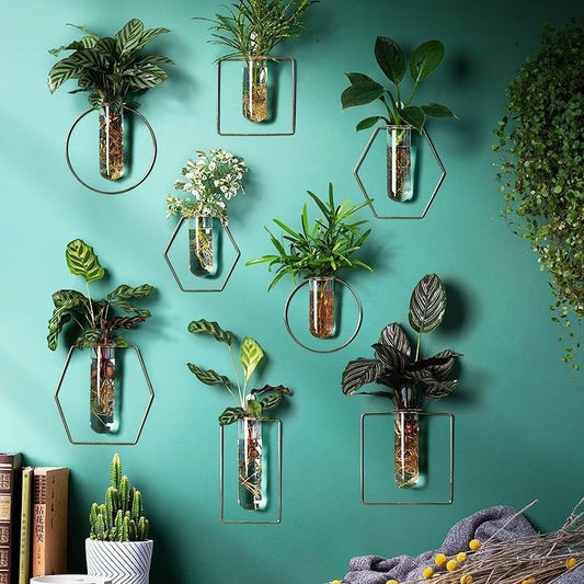 Vase Decoration Wall-mounted Hydroponic Flowerpot Hanging Wall Hanging